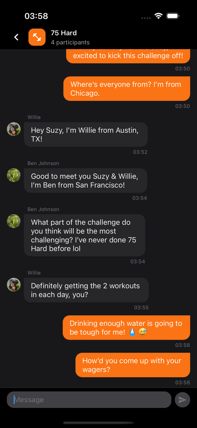Promise Chat Screenshot